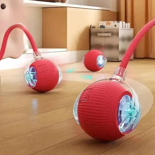 USB Smart Rolling Cat Toy