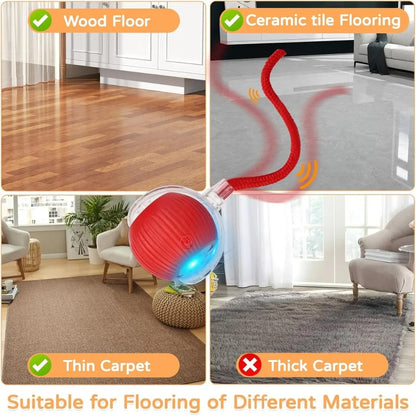 USB Smart Rolling Cat Toy
