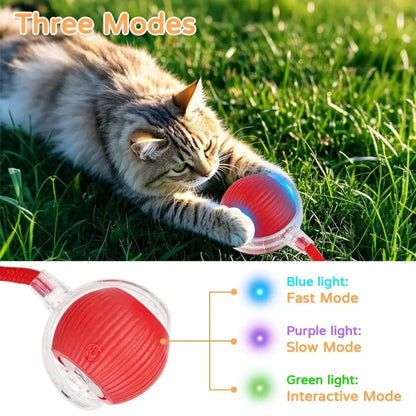 USB Smart Rolling Cat Toy