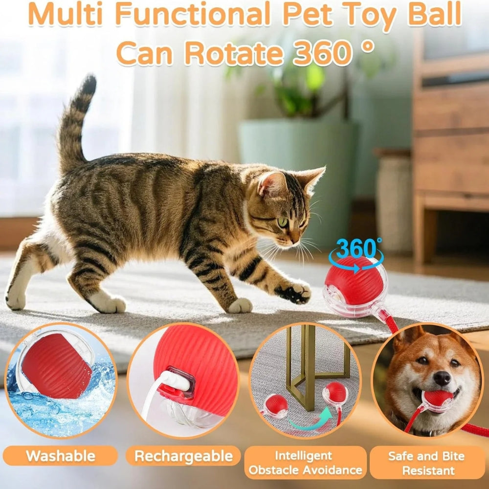 USB Smart Rolling Cat Toy
